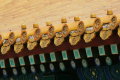 HN7J7818