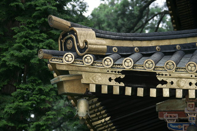 HN7J5002