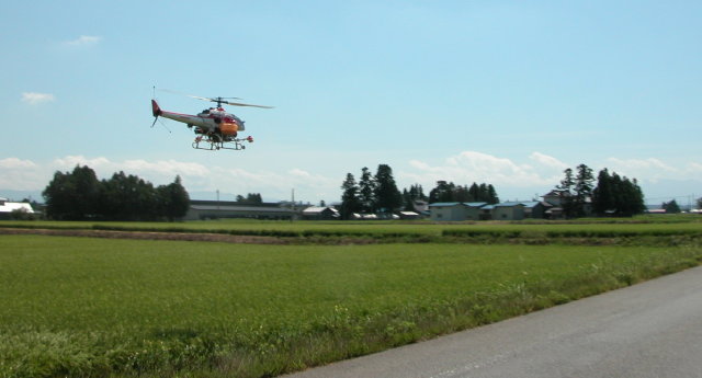 DSCN9034