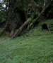 IMG_1365