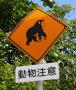 DSCN9009