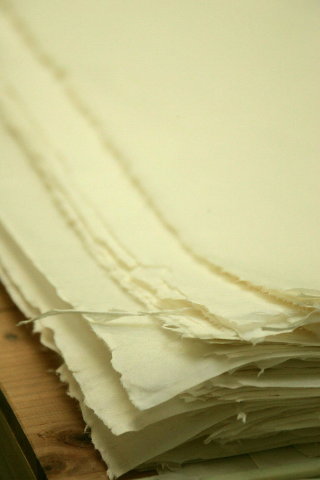 HN7J6579