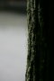 HN7J6897